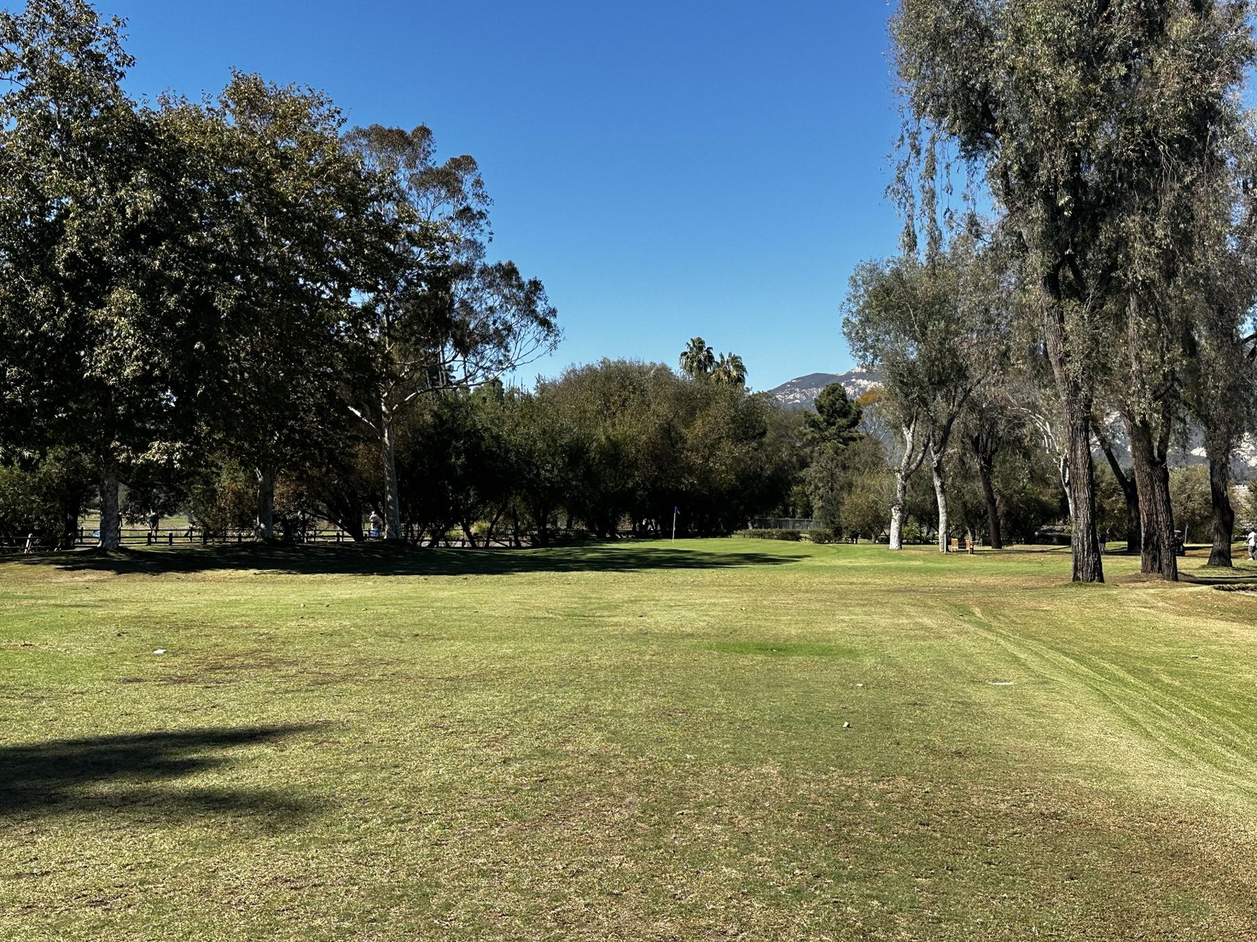 Twin Lakes Golf Course Hole 1, looking from the tee to a flag framed by eucalyptus trees and mountains
